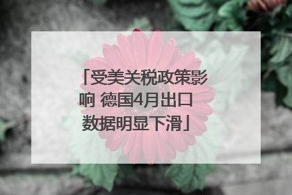 受美关税政策影响 德国4月出口数据明显下滑
